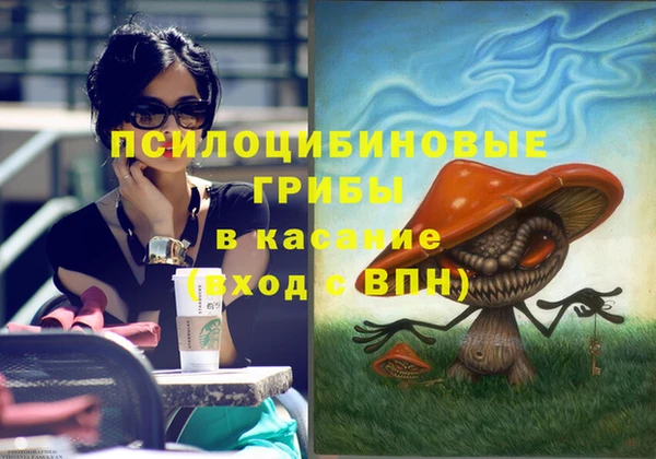 твердый Абаза