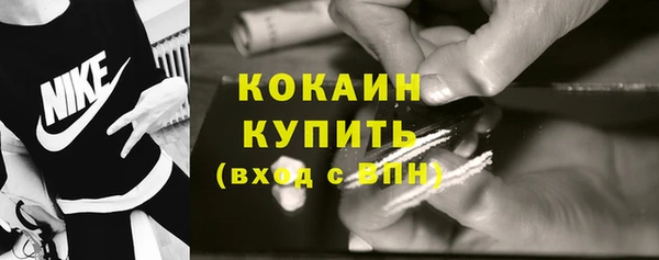 твердый Абаза