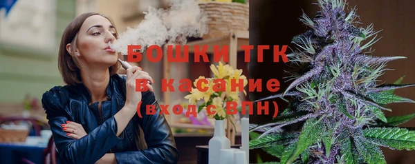 твердый Абаза