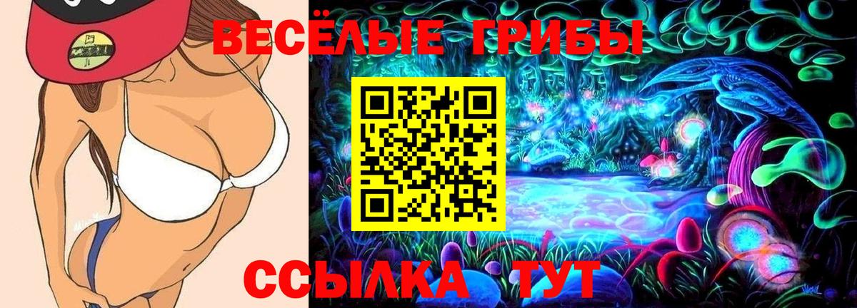 Галлюциногенные грибы Psilocybe  Вход с VPN  где можно купить   Псилоцибиновые грибы мухоморы  Фрязино 
