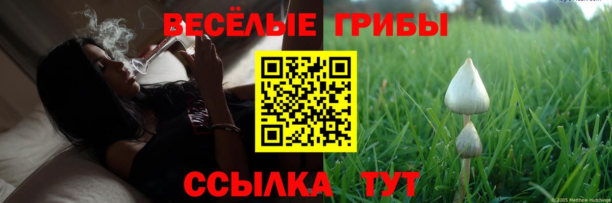 Галлюциногенные грибы мухоморы Фрязино